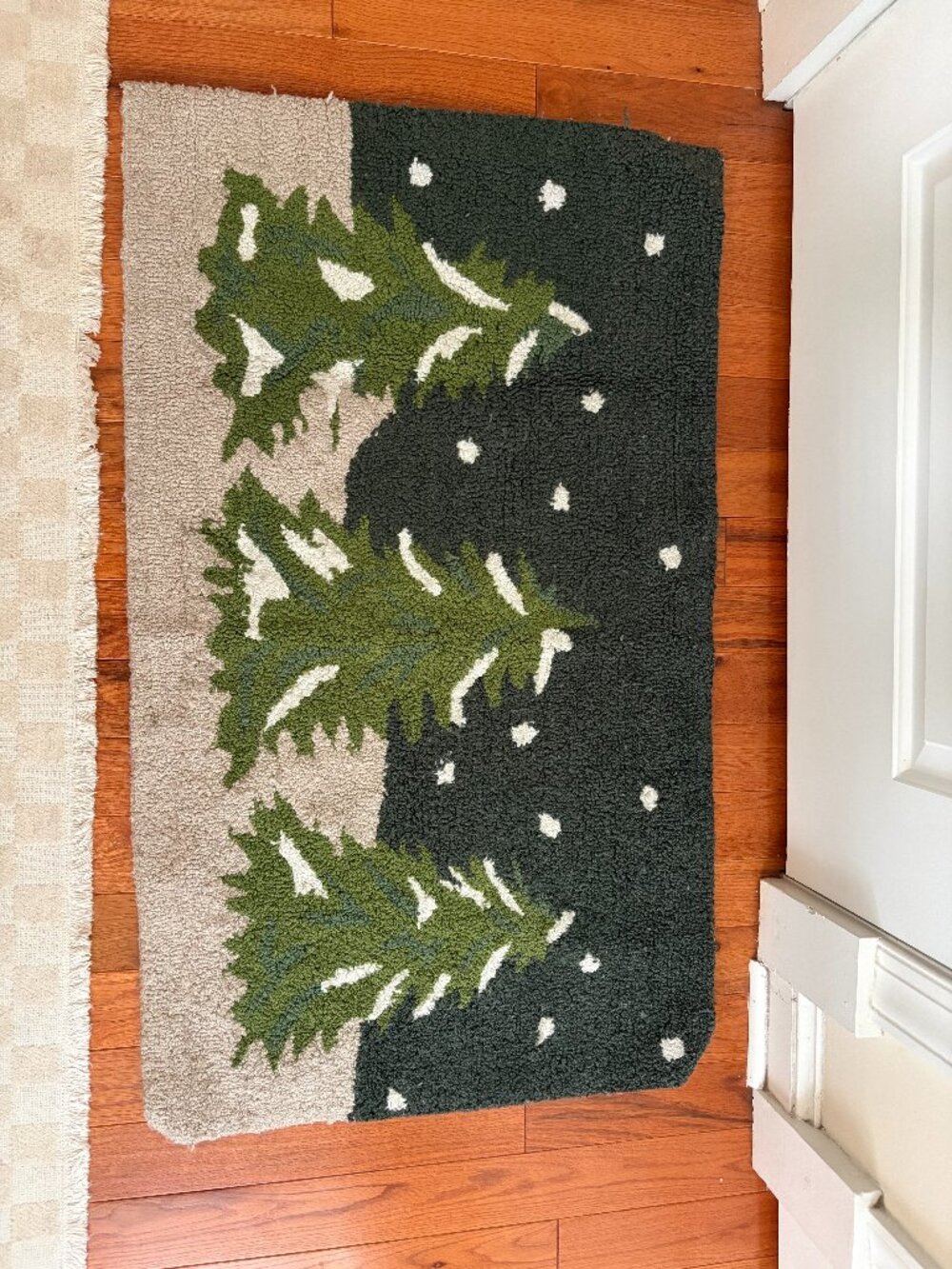 Winter rug